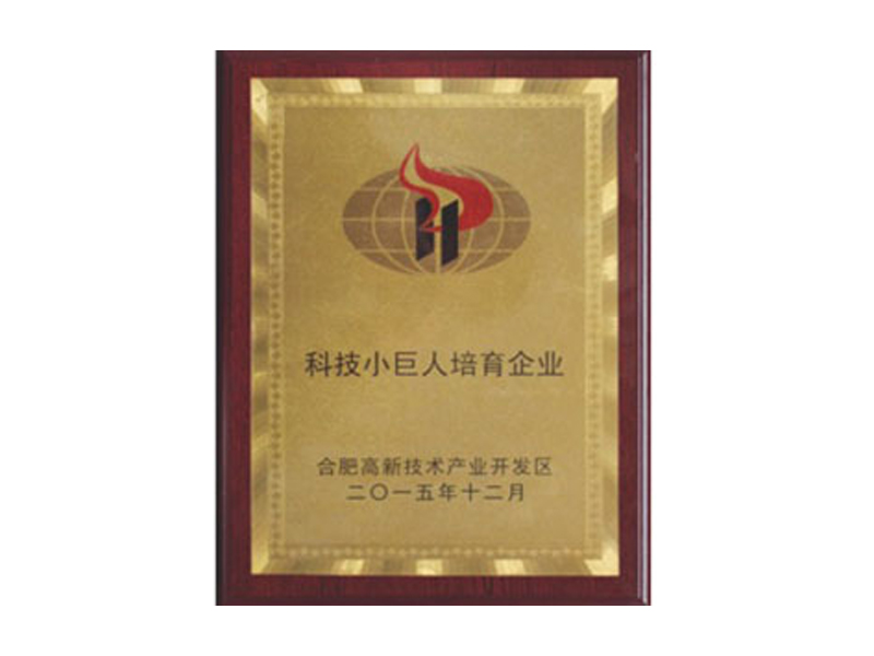企業(yè)榮譽-合肥燕美新材料,合肥燕美新材料科技有限公司-家電行業(yè)粉末涂料,汽車粉末預(yù)料,MDF粉末涂料